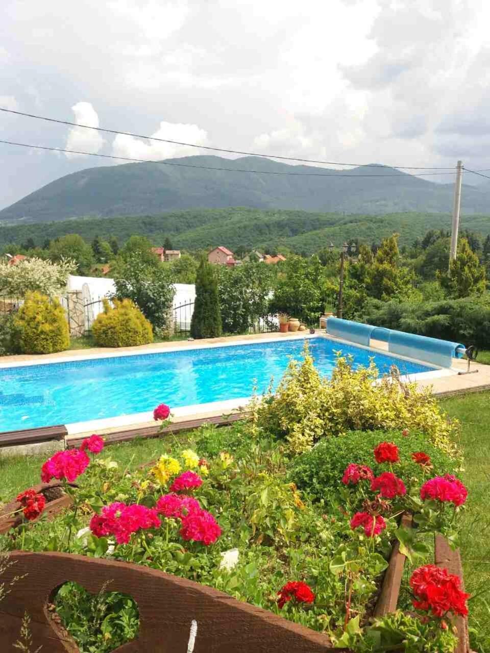Sani Vila *
